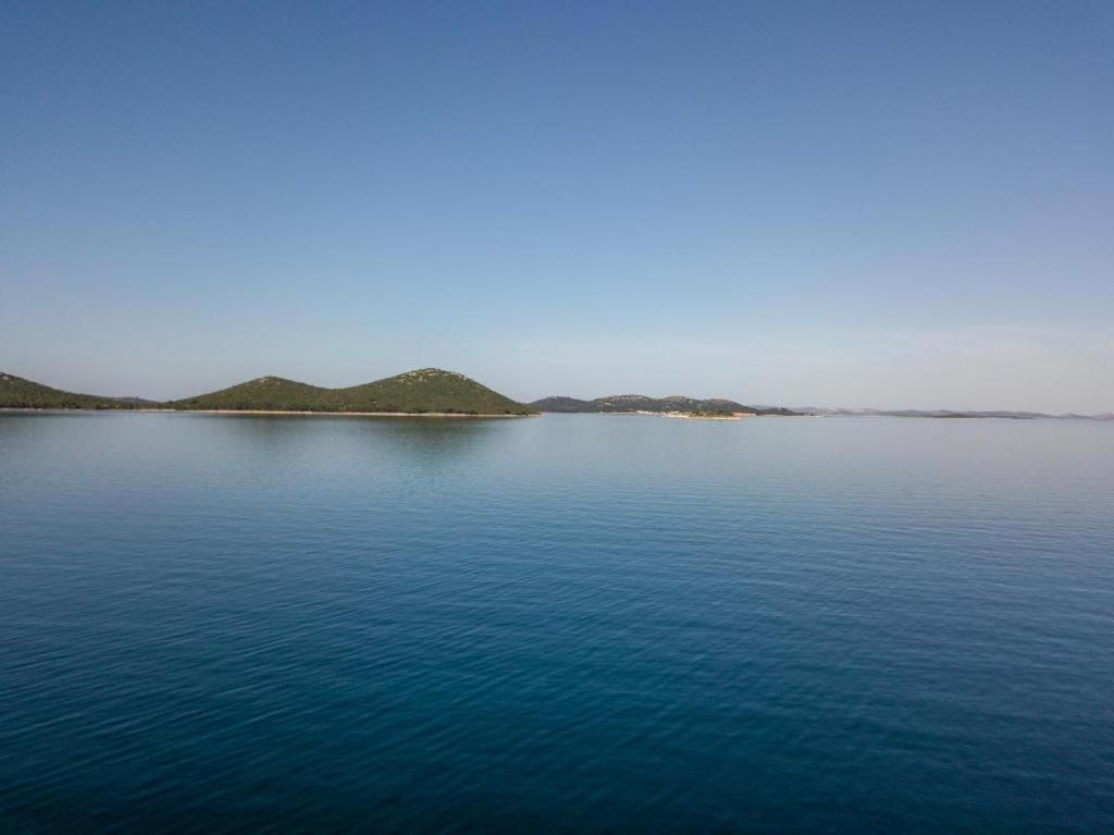 Villa Koral Drage Εξωτερικό φωτογραφία