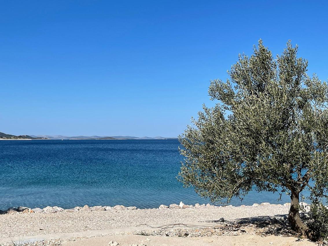 Villa Koral Drage Εξωτερικό φωτογραφία